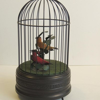 Automa gabbia con uccellini.