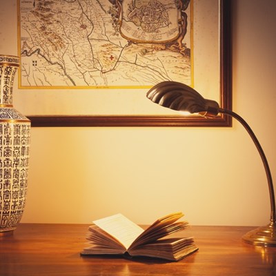 Lampada da scrivania a conchiglia in ottone .